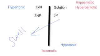 Tonicity amp Osmolarity [upl. by Schroder291]