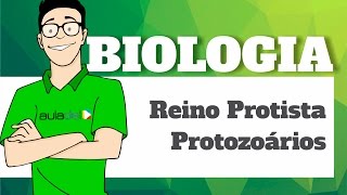 Biologia  Reino Protista Protozoários [upl. by Guenzi]