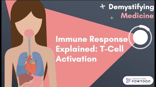 Immune Response Explained TCell Activation [upl. by Zeitler]