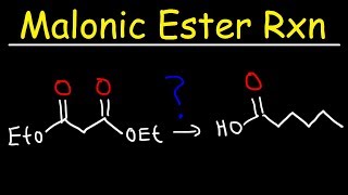 Acetaminophen Metabolism in the Liver [upl. by Timotheus]