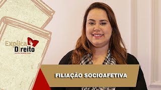 Explica Direito Filiação Socioafetiva  2019 [upl. by Nosraep]