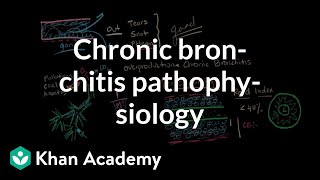 Bronchitis Symptoms Causes Treatments  Dr MyHuyen Tran [upl. by Sedruol161]