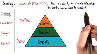 Encoding  Intro to Psychology [upl. by Cheston]