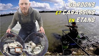 PECHE de CARASSINS et GARDONS en ETANG [upl. by Sucramat]