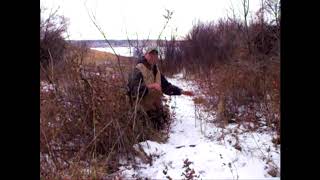 Winter Coyote Snaring [upl. by Aryan]