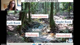 Fluvial Geomorphology An Introduction [upl. by Noyahs989]