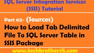 SSIS Tutorial Part 02 How to Load Tab Delimited File To SQL Server Table in SSIS Package [upl. by Litton537]