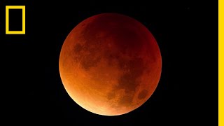 Lunar Eclipse 101  National Geographic [upl. by Aala]