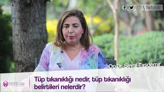 Tüp Tıkanıklığı Nedir Tüp Tıkanıklığı Belirtileri Nelerdir [upl. by Novelia]