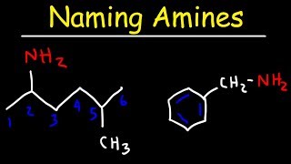 Naming Amines  IUPAC Nomenclature amp Common Names [upl. by Assereht]