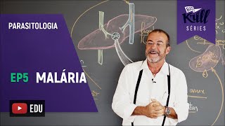 Malária Parasitologia  EP 5  Biokrill Series [upl. by Calista]