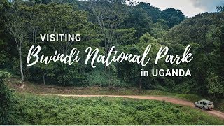 Exploring Bwindi Impenetrable National Park  Gorilla Safari Lodge  Uganda [upl. by Eilegna]