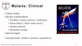 Protozoa Intro and Bloodborne Infections [upl. by Aromat]