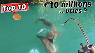 Les 10 Vidéos de Pêche en France LES PLUS VUES [upl. by Rennie]