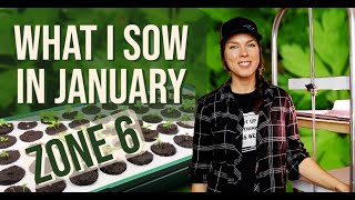 What to Start From Seed in January Zone 6 [upl. by Jaime426]