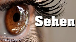 Sehen  Sehvorgang schnell erklärt [upl. by Alansen964]