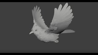 Bird Flying Animation [upl. by Ganley]