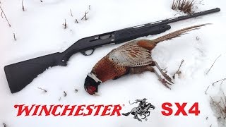 Winchester SX4 Semiautomatic Shotgun Review [upl. by Neri]