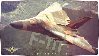 General Dynamics F111 Aardvark [upl. by Elleimac]