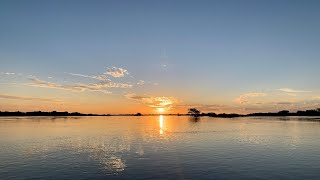 Namibia Live feed from the Zambezi River [upl. by Nitram]