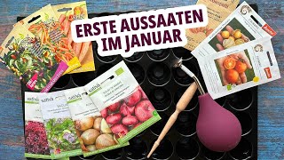 Was kann man im Januar säen Tipps und Tricks für die frühe Anzucht [upl. by Yvon459]