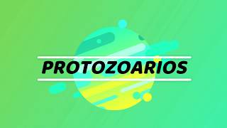 ¿Que son los protozoarios [upl. by Einad]