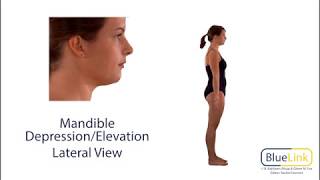 Mandible Depression Elevation [upl. by Constantine]