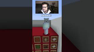 WALLIBEAR TAKES ON MOB ARENA gaming ⁠youtube funny minecraft memes tiktok shorts ytshorts [upl. by Annirtak]