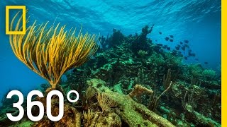 360° Underwater National Park  National Geographic [upl. by Gabriello390]