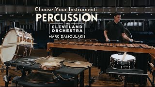 Choose Your Instrument  Percussion [upl. by Daniyal]