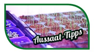 Aussaat amp Gartentipps im Januar 🌱 Jungpflanzenanzucht im Januar 🌱 Selbstversorgung [upl. by Notsgnal811]