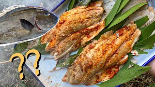 Eating Australias worst rated table fish  Sweetlips morwong Catch amp Cook [upl. by Yung]