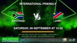 south africa vs namibia LIVE [upl. by Llemar]